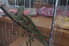 WhatsApp-Image-2026-04-25-at-14.25.37-5