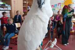 WhatsApp-Image-2026-04-25-at-14.25.37