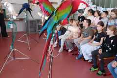 WhatsApp-Image-2026-04-25-at-14.25.38