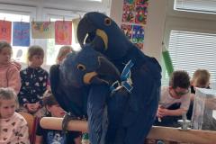 WhatsApp-Image-2026-04-25-at-14.31.05-3