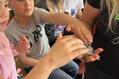 WhatsApp-Image-2026-04-25-at-14.31.05-4