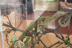 WhatsApp-Image-2026-04-25-at-15.33.44