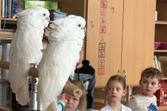 WhatsApp-Image-2026-04-25-at-15.33.45