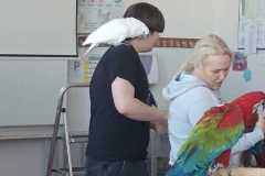 WhatsApp-Image-2026-04-25-at-20.36.00-1