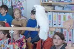 WhatsApp-Image-2026-04-25-at-20.36.01-3