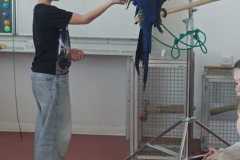 WhatsApp-Image-2026-04-25-at-20.36.01-5