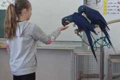 WhatsApp-Image-2026-04-25-at-20.36.01-6