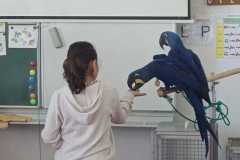 WhatsApp-Image-2026-04-25-at-20.36.01-7