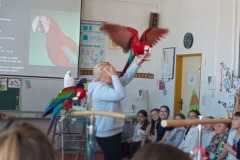 WhatsApp-Image-2026-04-25-at-20.36.02-2