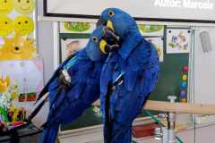 WhatsApp-Image-2026-04-26-at-13.14.44-1