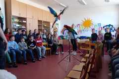 WhatsApp-Image-2026-04-26-at-13.14.44