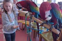 WhatsApp-Image-2026-04-26-at-13.14.46-1