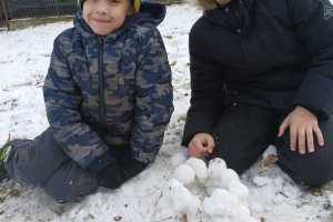 únor u včeliček 2026