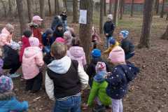 IMG-20240331-WA0031