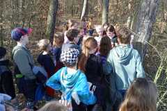 IMG-20240331-WA0066