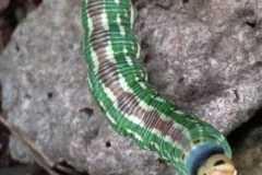 WhatsApp-Image-2025-10-03-at-16.23.16-1