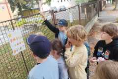 WhatsApp-Image-2025-10-03-at-16.23.17-4