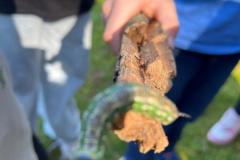 WhatsApp-Image-2025-10-01-at-21.26.24-20