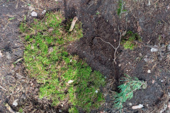 trashed-1760471607-IMG_20250905_143449